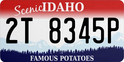 ID license plate 2T8345P