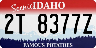 ID license plate 2T8377Z