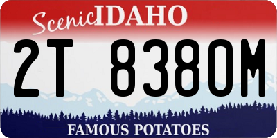 ID license plate 2T8380M