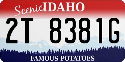 ID license plate 2T8381G