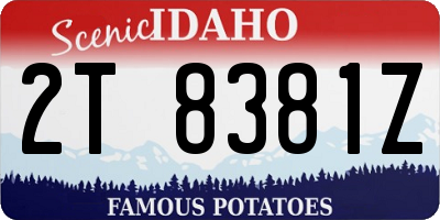 ID license plate 2T8381Z
