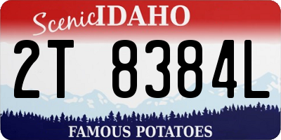 ID license plate 2T8384L