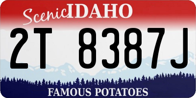 ID license plate 2T8387J