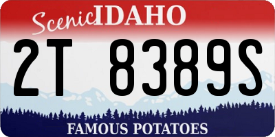 ID license plate 2T8389S