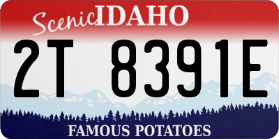 ID license plate 2T8391E