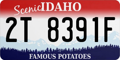 ID license plate 2T8391F