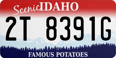 ID license plate 2T8391G