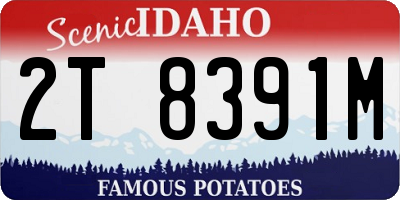 ID license plate 2T8391M