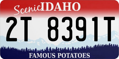 ID license plate 2T8391T