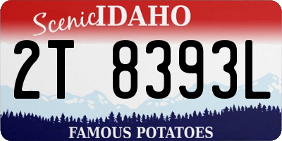 ID license plate 2T8393L