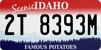ID license plate 2T8393M