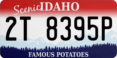 ID license plate 2T8395P