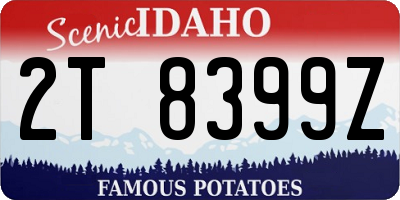 ID license plate 2T8399Z