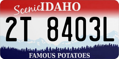 ID license plate 2T8403L