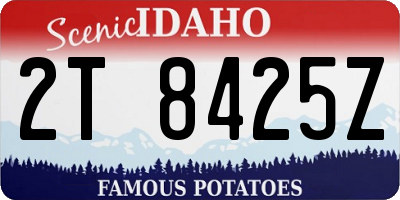 ID license plate 2T8425Z