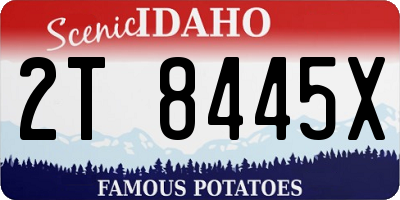 ID license plate 2T8445X