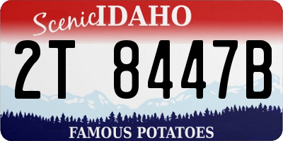 ID license plate 2T8447B