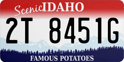 ID license plate 2T8451G