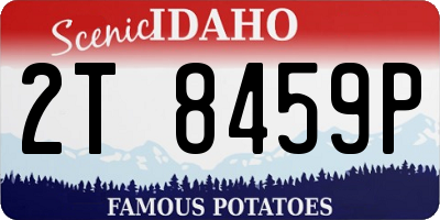 ID license plate 2T8459P