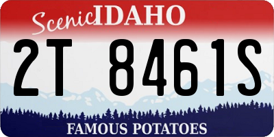 ID license plate 2T8461S