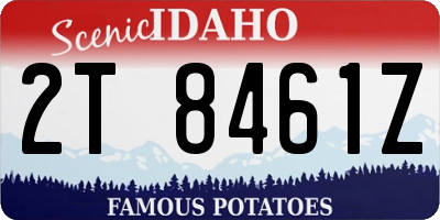 ID license plate 2T8461Z