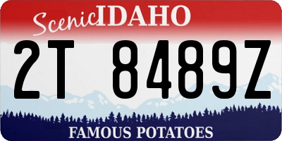 ID license plate 2T8489Z