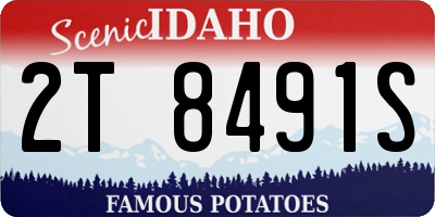 ID license plate 2T8491S