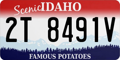 ID license plate 2T8491V