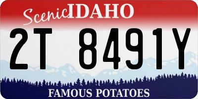 ID license plate 2T8491Y