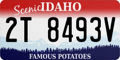 ID license plate 2T8493V