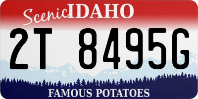 ID license plate 2T8495G
