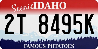 ID license plate 2T8495K