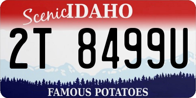 ID license plate 2T8499U