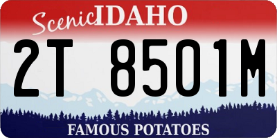 ID license plate 2T8501M