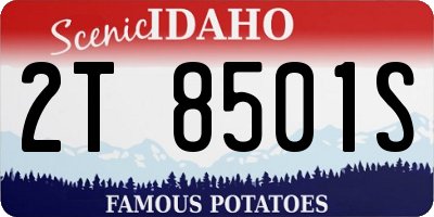 ID license plate 2T8501S