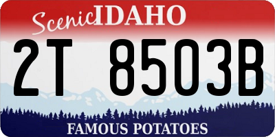 ID license plate 2T8503B