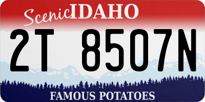 ID license plate 2T8507N
