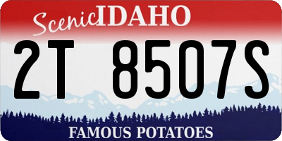 ID license plate 2T8507S