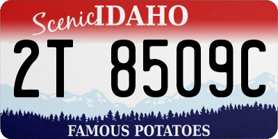 ID license plate 2T8509C