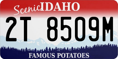 ID license plate 2T8509M