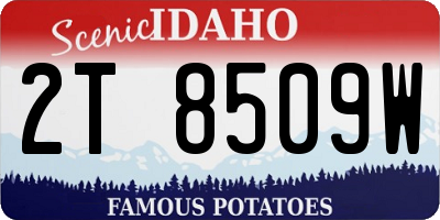 ID license plate 2T8509W