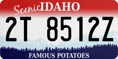ID license plate 2T8512Z