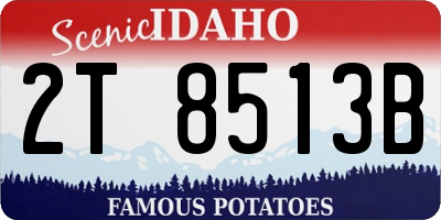 ID license plate 2T8513B