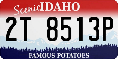 ID license plate 2T8513P