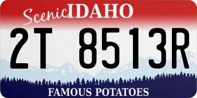 ID license plate 2T8513R