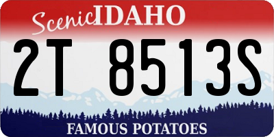 ID license plate 2T8513S