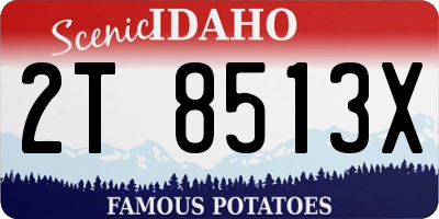 ID license plate 2T8513X