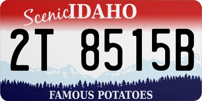 ID license plate 2T8515B