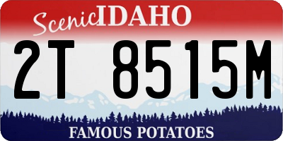 ID license plate 2T8515M