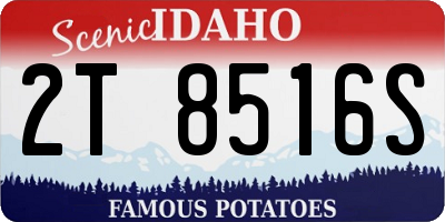 ID license plate 2T8516S